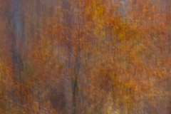 5F1H7777-1