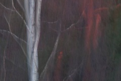 HLiljenberg_abstrakt_6