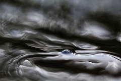IMG_1694-1