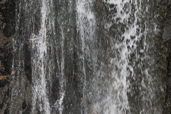 5F1H9344