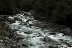 IMG_8172