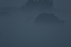 E69P9469-1