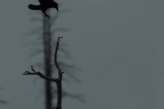 E69P8782-1