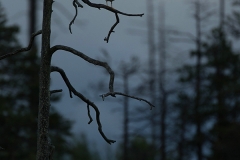 E69P8960-1
