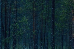 E69P9712-1