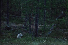 E69P9913-1