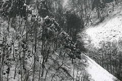 Skäralid