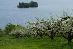 E69P5133-1