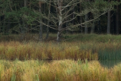 E69P5362-1