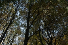 E69P5809-1