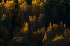 E69P5996-1