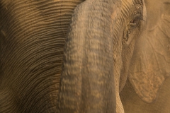 E69P3290-1