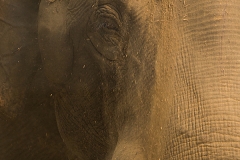 E69P3303-1