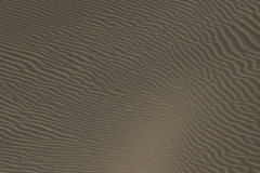 5F1H8527
