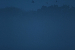 E69P3312-1