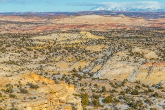 _69P3607-1
