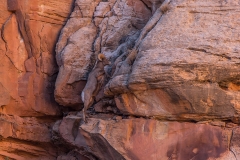 _69P3862-1