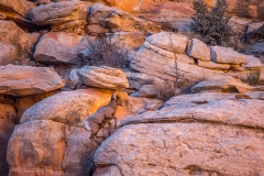 _69P3872-1