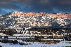 _MG_8972-1