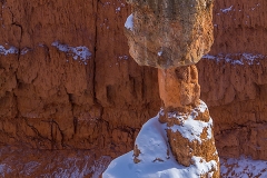 _MG_9024-1