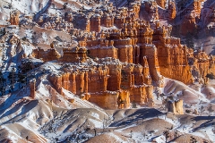 _MG_9122-1
